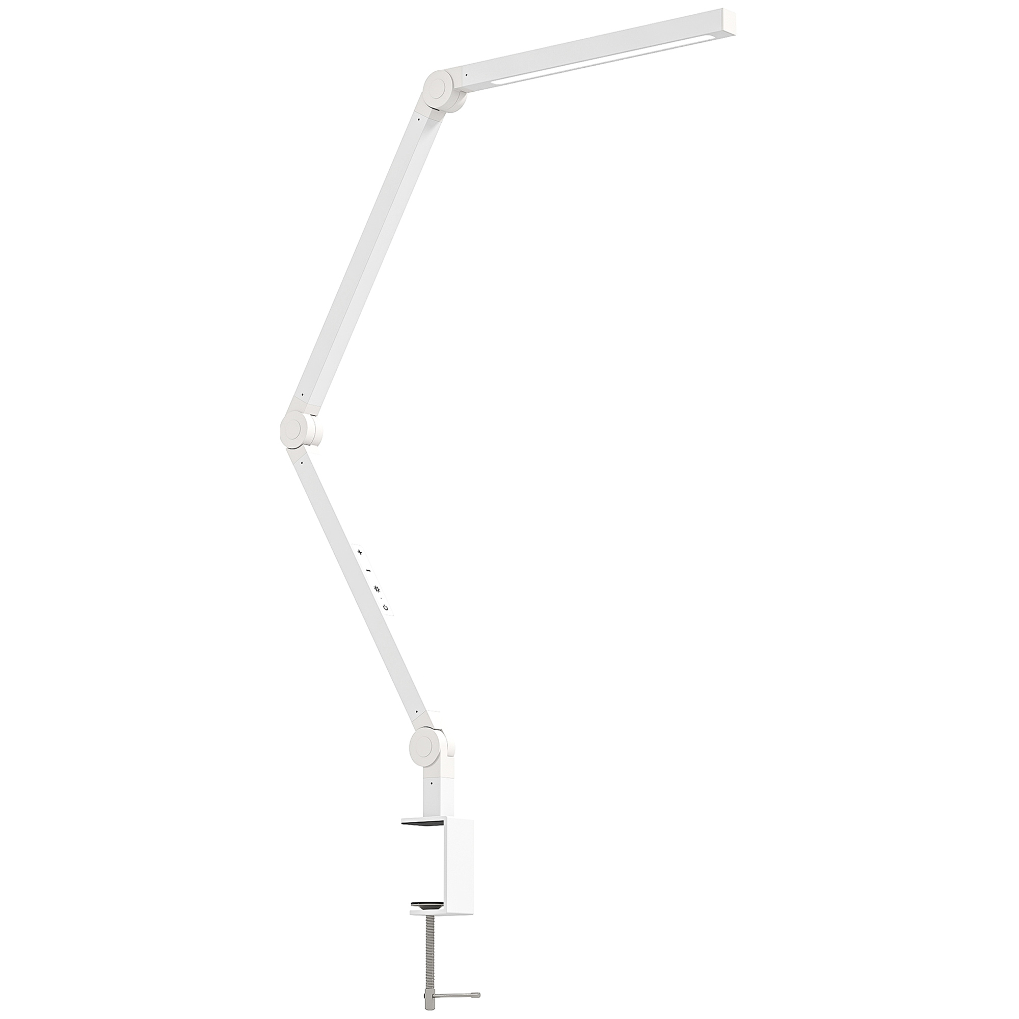 Adjustable Swing Arm Desk Lamp with Clamp and 5 Brightness Levels