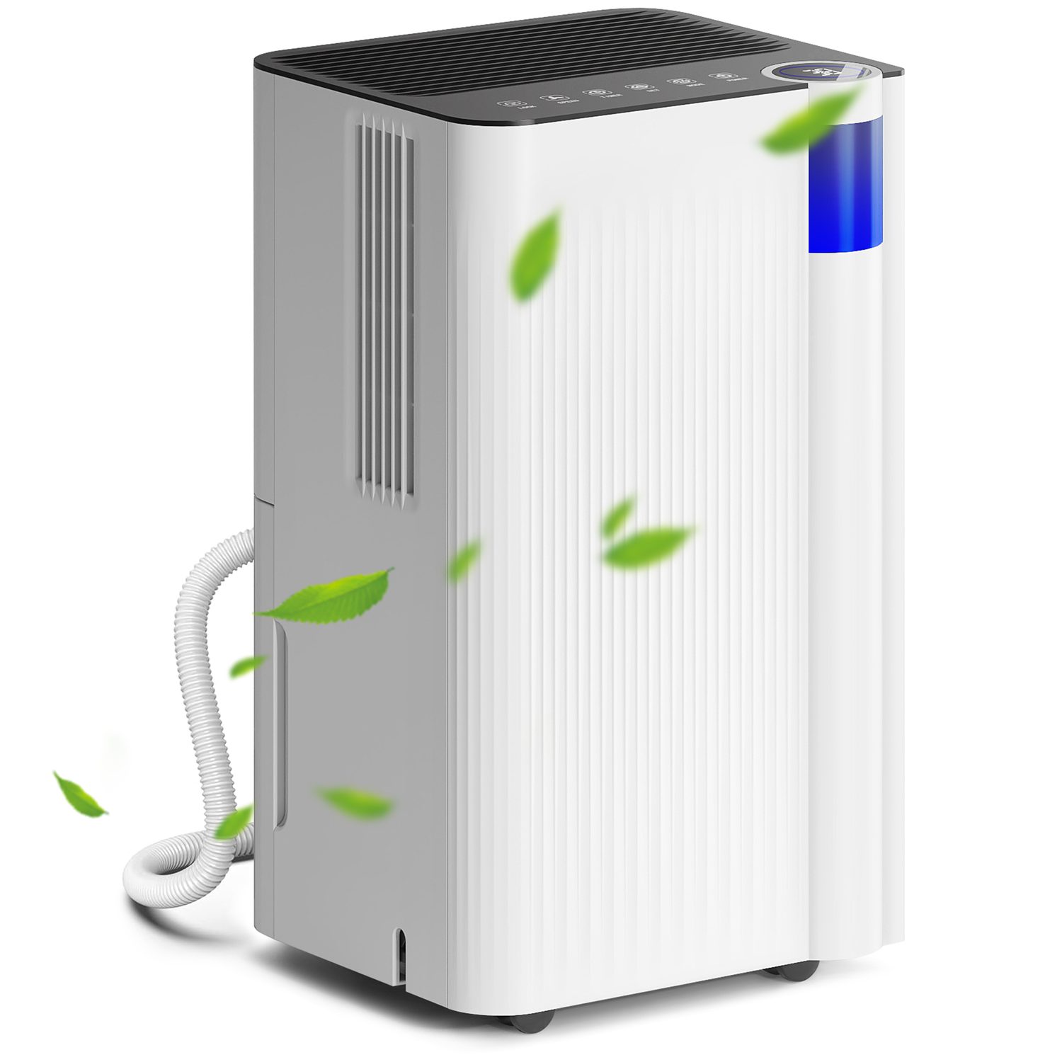 White 12L/Day Dehumidifier with Washable Filter for Small Rooms