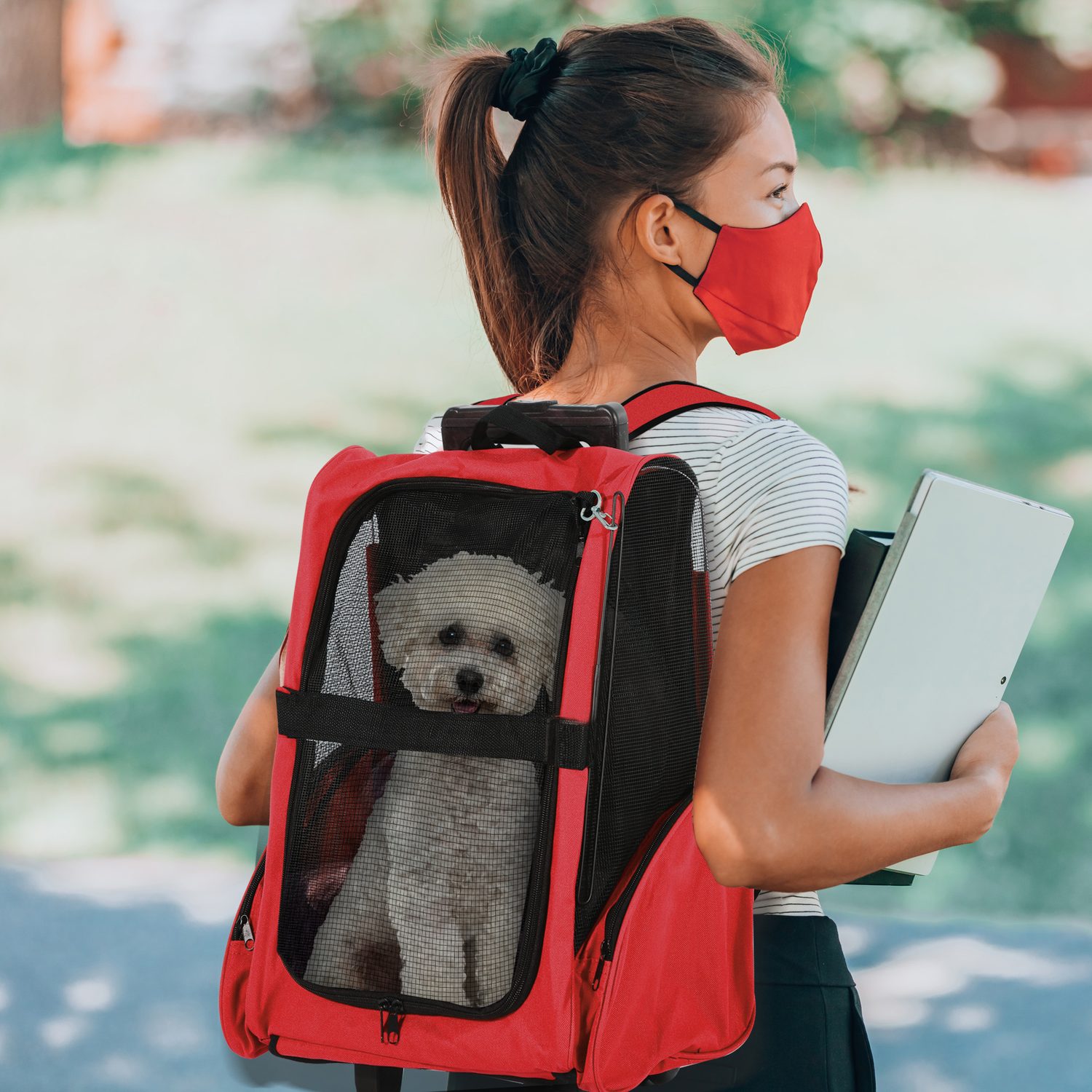 PawHut 2-in-1 Pet Carrier Backpack with Wheels
