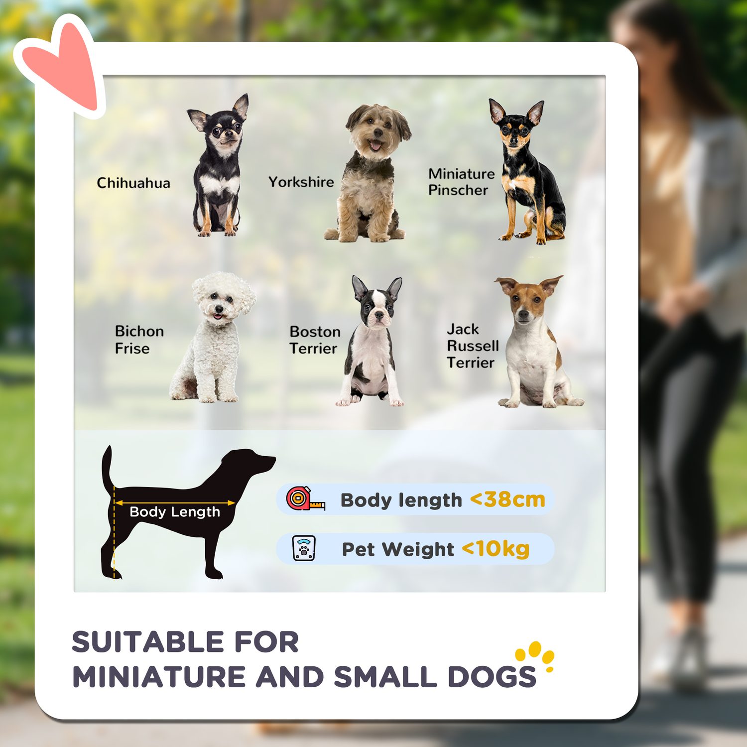 PawHut Pet Stroller for Small and Miniature Dogs