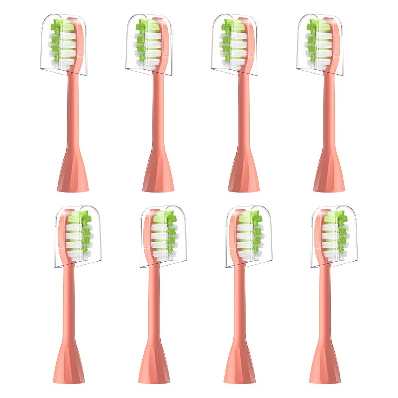 Replace Your Toothbrush Heads Without Compromising on Clean