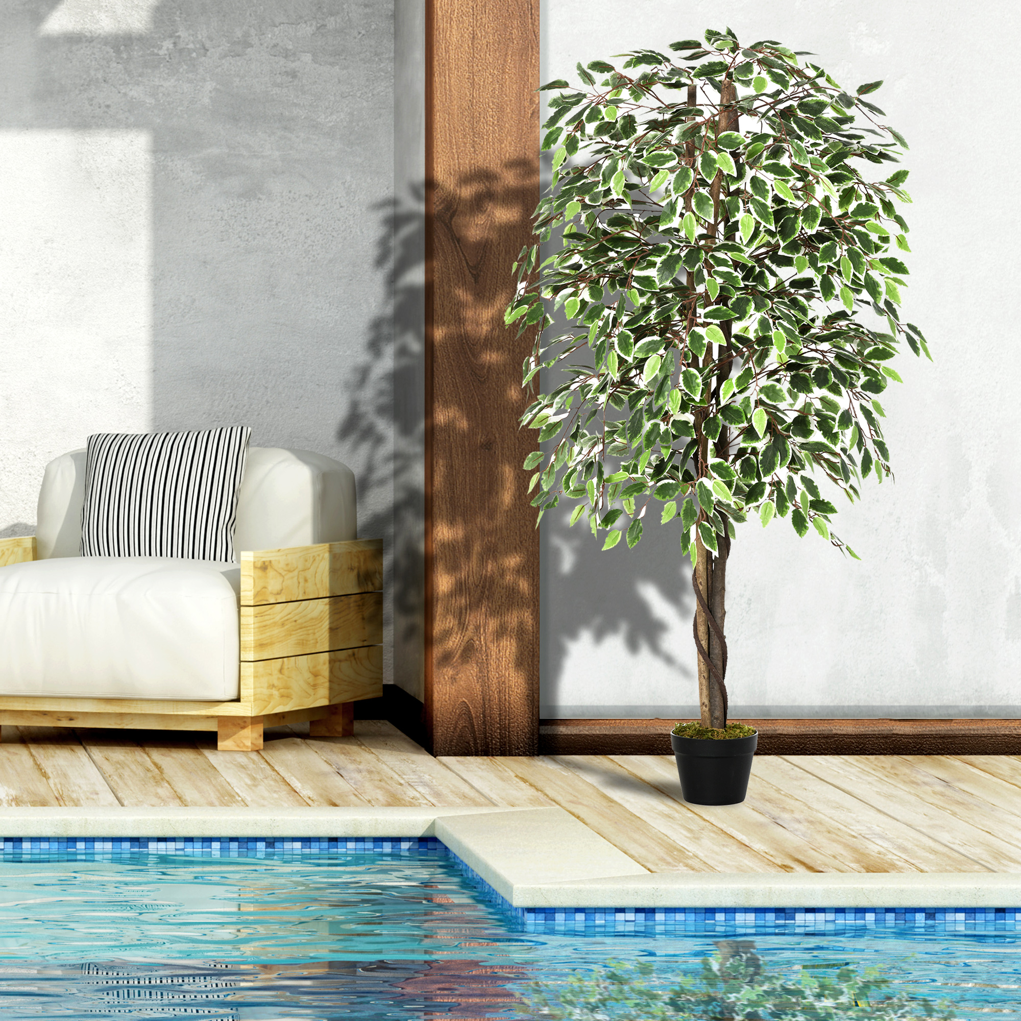 160cm Ficus Tree